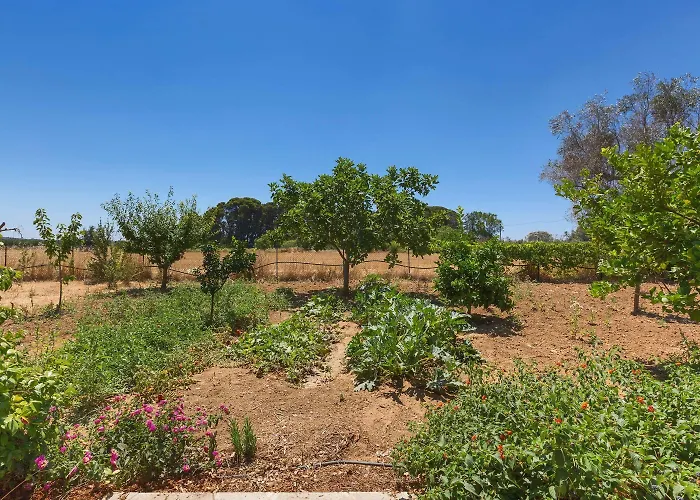 Dei Primi By Barbarhouse Holiday home *