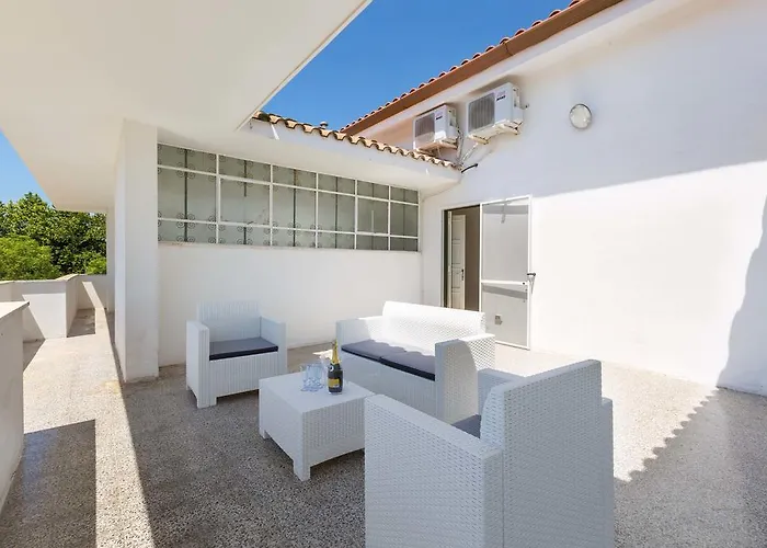 Dei Primi By Barbarhouse Matino