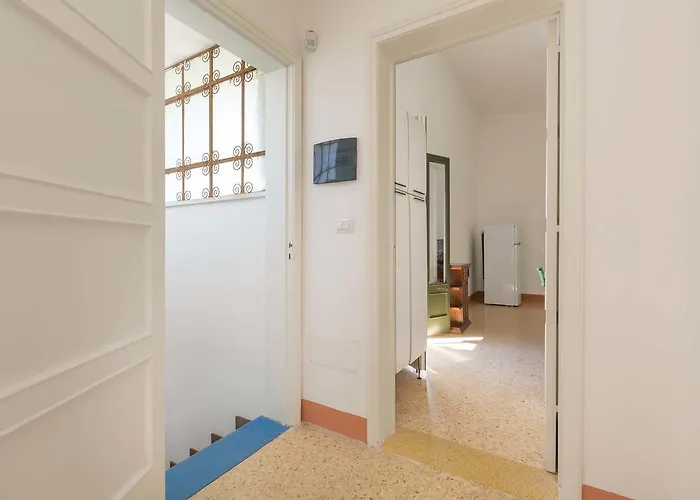 Dei Primi By Barbarhouse *